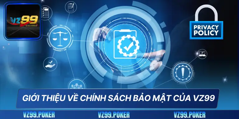 Giới thiệu về chính sách bảo mật của VZ99