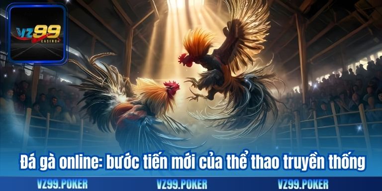 Đá gà online: bước tiến mới của thể thao truyền thống